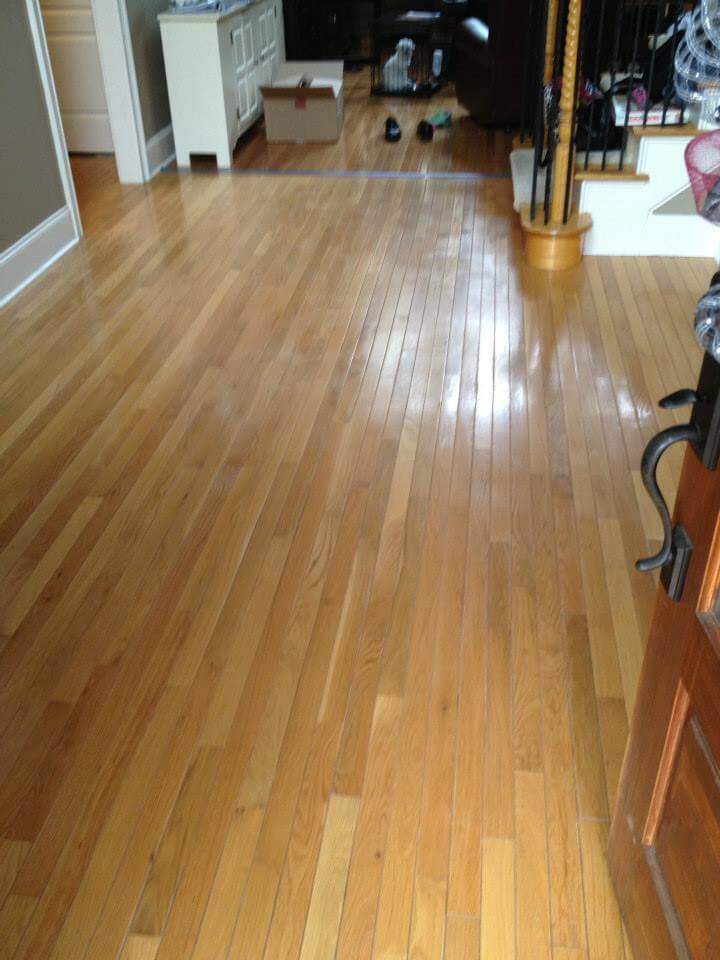 floor with some small scratches and damage in charleston